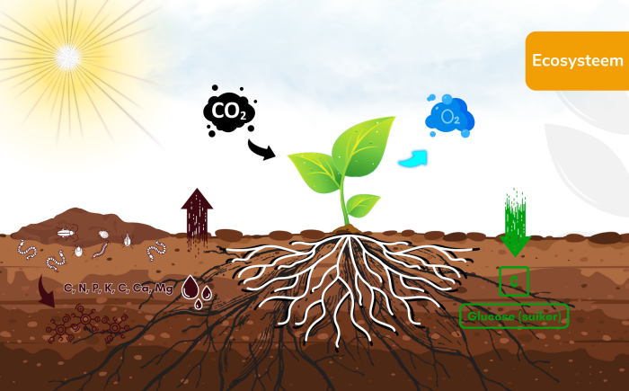 ecologie-700×435