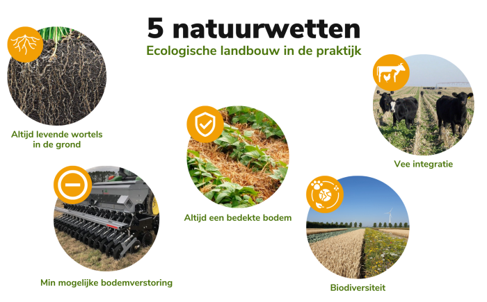 ecologische-principes-700×435-1