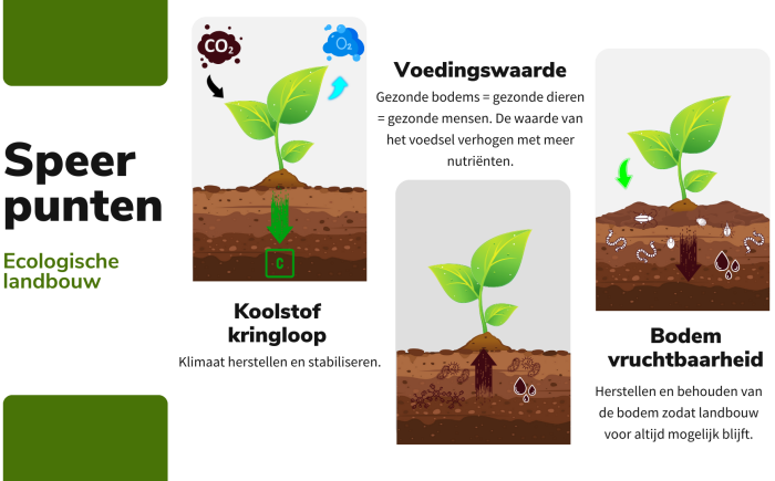 ecologische-speerpunten-700×435